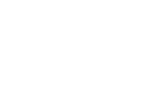 bs logo